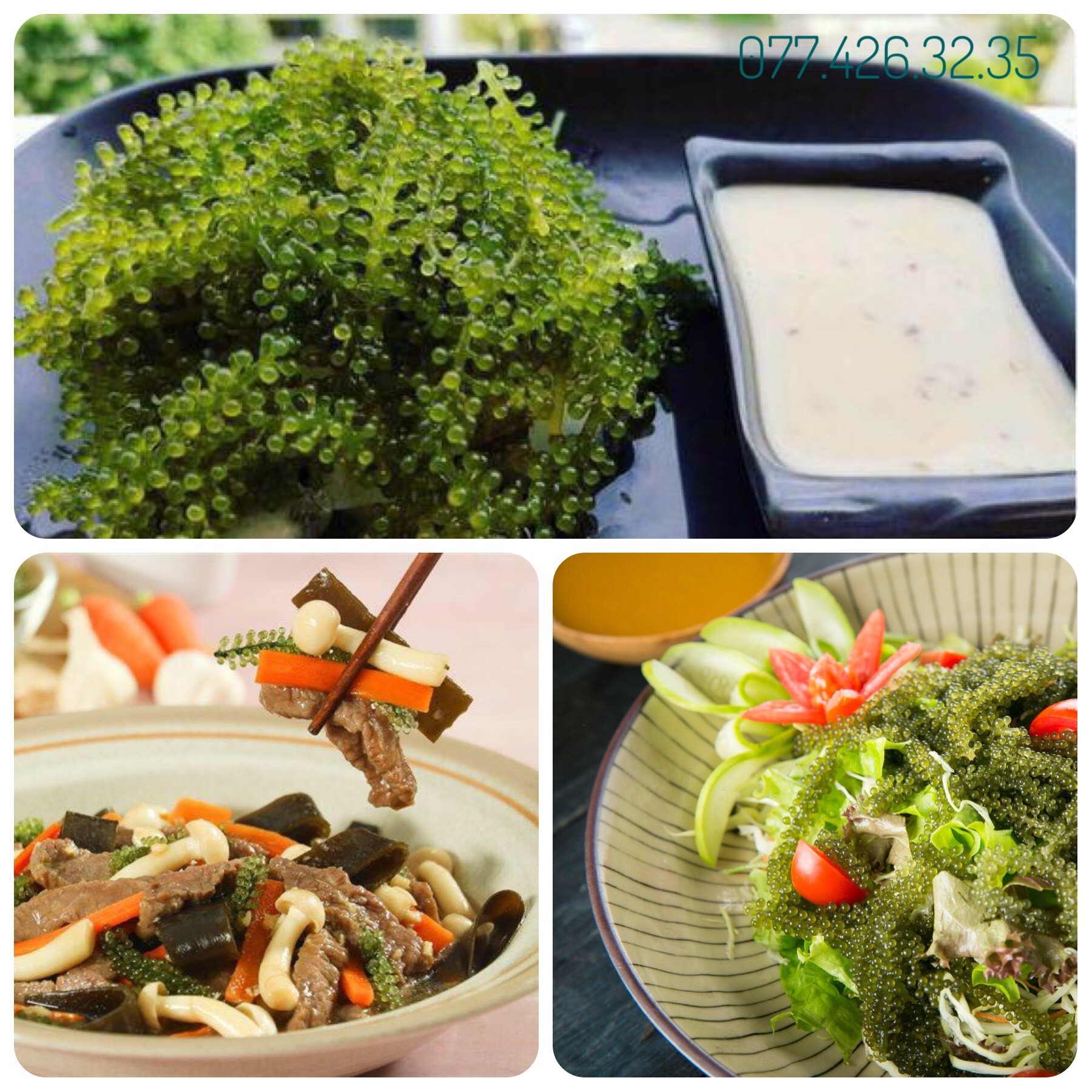 Sốt salad vị mè rang 300ml hàng nội địa Nhật Bản