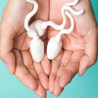 Những cách giúp tăng chất lượng tinh trùng và khả năng thụ thai bạn cần biết